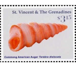 Commong American Auger - Caribbean / Saint Vincent and The Grenadines 2016 - 3.15