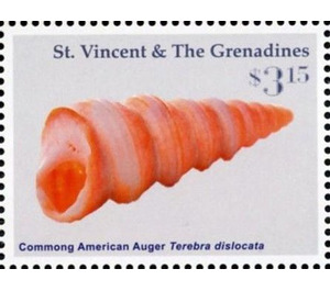 Commong American Auger - Caribbean / Saint Vincent and The Grenadines 2016 - 3.15