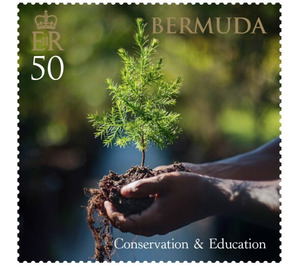 Conservation & Education - North America / Bermuda 2021 - 50