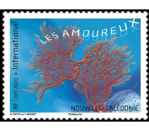 Coral - Melanesia / New Caledonia 2020