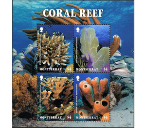 Coral Reef - Caribbean / Montserrat 2017