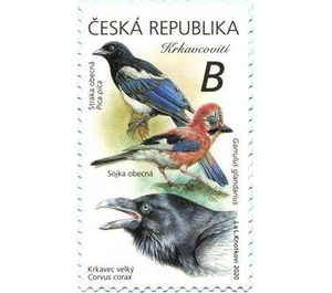 Corvidae - Czech Republic (Czechia) 2020