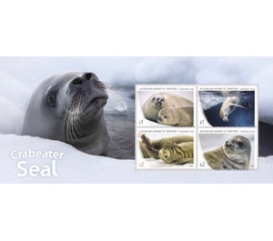 Crabeater Seal - Australian Antarctic Territory 2018