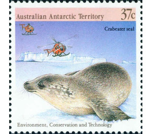 Crabeater Seal (Lobodon carcinophagus), Helicopter - Australian Antarctic Territory 1988 - 37
