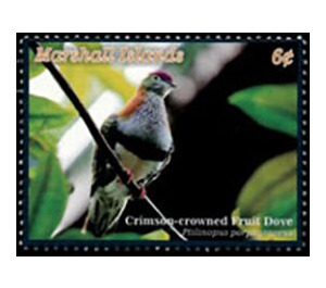 Crimson-Crowned Fruit Dove (Ptilinopus porphyraceus), - Micronesia / Marshall Islands 2020 - 6