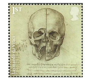 Cross Section of Skull - United Kingdom 2019