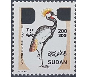 Crowned Crane - North Africa / Sudan 2019 - 200