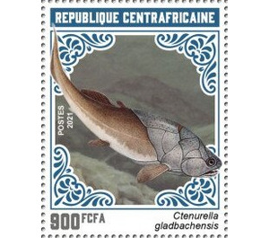 Ctenurella gladbachensis - Central Africa / Central African Republic 2021 - 900