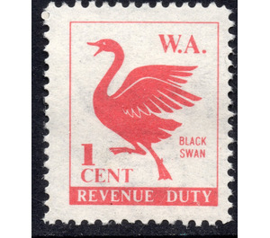 Cygnus atratus (black swan) - Western Australia 1975