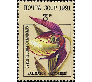 Cypripedium calceolus - Lady's-slipper Orchid - Russia / Soviet Union 1991 - 3