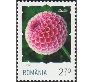 Dahlia - Romania 2020 - 2.70