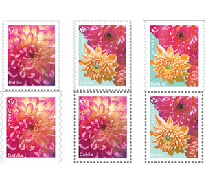 Dahlias (2020) - Canada 2020 Set