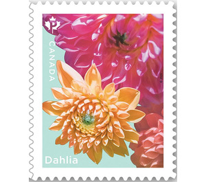 Dahlias (from Booklet Pane) - Canada 2020