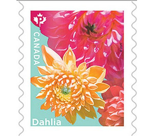 Dahlias (from Coil) - Canada 2020