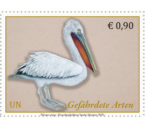 Dalmatian Pelican (Pelecanus crispus) - UNO Vienna 2020 - 0.90