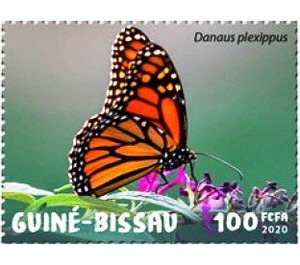Danaus plexippus - West Africa / Guinea-Bissau 2020 - 100