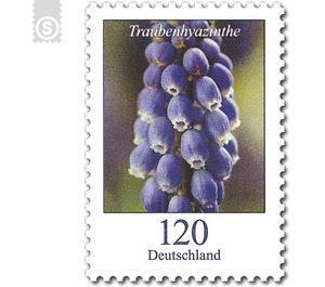 Definitive Series "Flowers" - Grape hyacinth  - Germany / Federal Republic of Germany 2019 - 120 Euro Cent