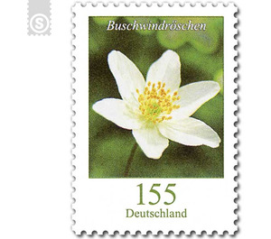 Definitive Series "Flowers" - Wood Anemone  - Germany / Federal Republic of Germany 2019 - 155 Euro Cent