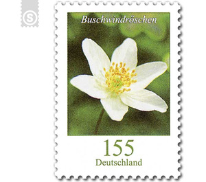 Definitive Series "Flowers" - Wood Anemone, self-adhesive  - Germany / Federal Republic of Germany 2019 - 155 Euro Cent