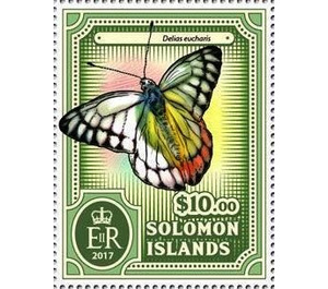 Delias eucharis - Melanesia / Solomon Islands 2017 - 10