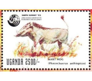 Desert Warthog (Phacochoerus aethiopicus) - East Africa / Uganda 1992