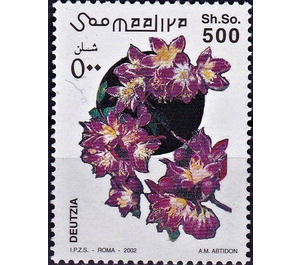 Deutzia - East Africa / Somalia 2002 - 500