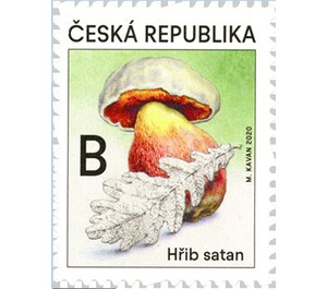 Devil’s Bolete (Rubroboletus satanas) - Czech Republic (Czechia) 2020