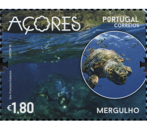 Diving on Corvo, Loggerhead Turtle (Caretta caretta) - Portugal / Azores 2016 - 1.80