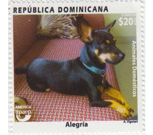 Dog - Caribbean / Dominican Republic 2020