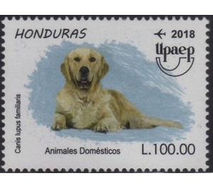 Dog - Central America / Honduras 2018 - 100