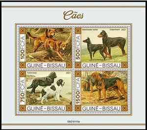 Dogs - West Africa / Guinea-Bissau 2021