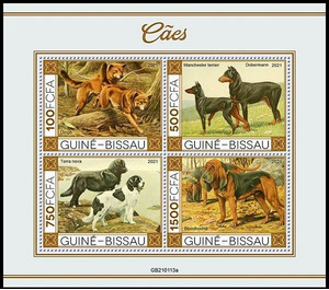 Dogs - West Africa / Guinea-Bissau 2021