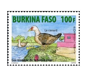 Domestic Duck (Anas platyrhynchos domestica) - West Africa / Burkina Faso 2011 - 100