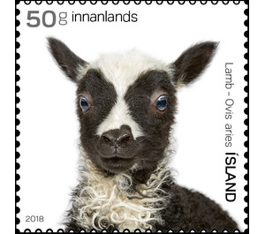 Domesticated Animals - Iceland 2018