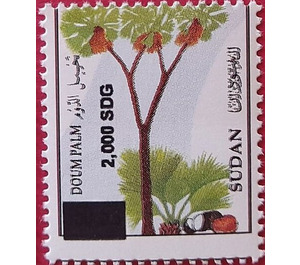 Doum Palm (Hyphaene thebaica) - North Africa / Sudan 2021