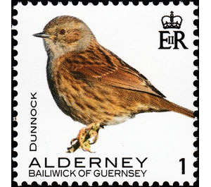 Dunnock - Alderney 2020 - 1