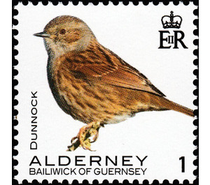 Dunnock - Alderney 2020 - 1