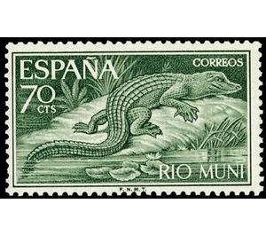 Dwarf Crocodile (Osteolaemus tetraspis) - Central Africa / Equatorial Guinea  / Rio Muni 1964 - 70