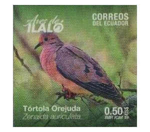 Eared Dove (Zenaida auriculata) - South America / Ecuador 2019 - 0.50