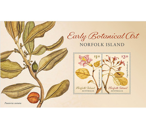Early Botanic Art - Norfolk Island 2020