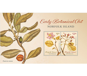 Early Botanic Art - Norfolk Island 2020