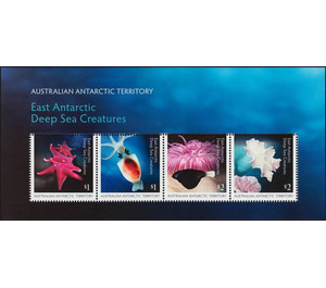 East Antarctic Deep Sea creatures - Australian Antarctic Territory 2017