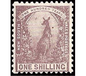 Eastern Grey Kangaroo (Macropus giganteus) - Melanesia / New South Wales 1906 - 1
