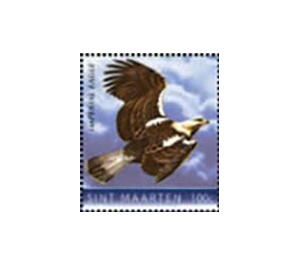 Eastern imperial eagle (Aquila heliaca) - Caribbean / Sint Maarten 2020