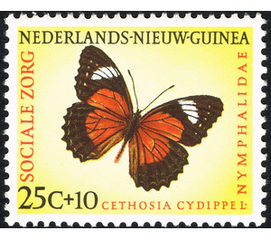 Eastern Red Lacewing (Cethosia cydippe) - Melanesia / Netherlands New Guinea 1960