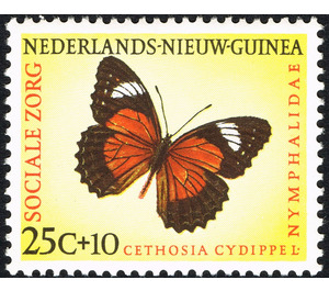 Eastern Red Lacewing (Cethosia cydippe) - Melanesia / Netherlands New Guinea 1960