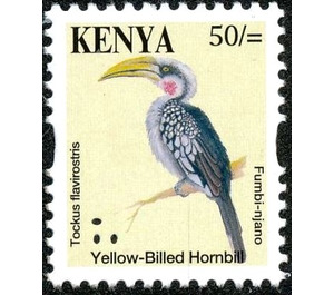 Eastern Yellow-billed Hornbill (Tockus flavirostris) - East Africa / Kenya 2014 - 50
