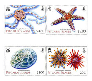 Echinoderms (2019) - Polynesia / Pitcairn Islands 2019 Set