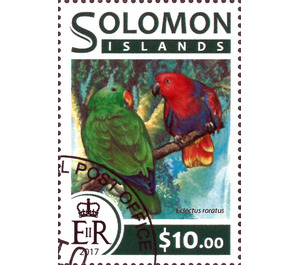 Eclectus roratus - Melanesia / Solomon Islands 2017 - 10