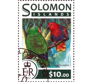 Eclectus roratus - Melanesia / Solomon Islands 2017 - 10